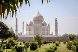 How to Best Cricket Betting Odds India 2027: Pro Tips to Win in India (2026)