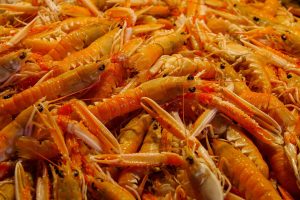 Advanced Fish Shrimp Crab Review 2027: Bonus, App, Withdrawal Tested
